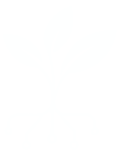 Parent character